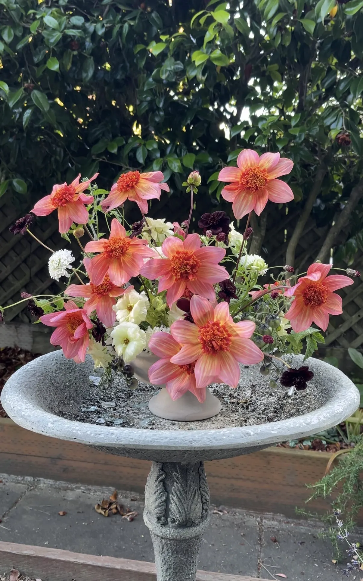 Spring floral composition with layered pink blossoms and feathery greenery.
